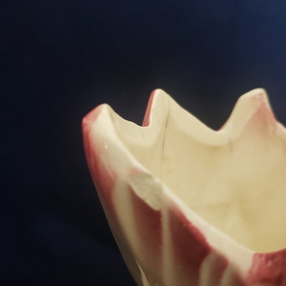 Rare McCoy Double Tulip Crocus Art Pottery Vase White Dark Pink USA - Picture 5 of 8